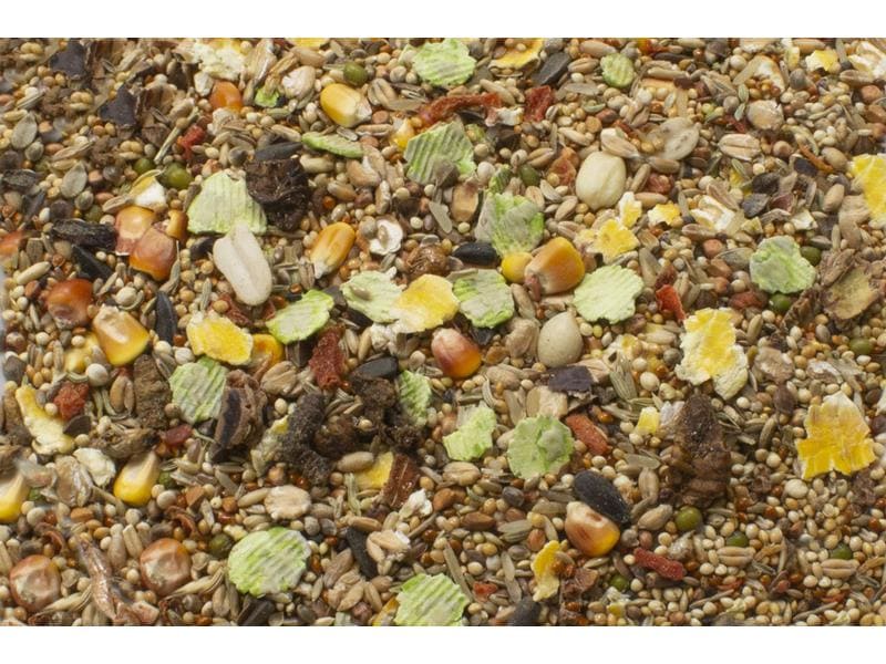 JR Farm Hauptfutter Basic Rennmäuse-Schmaus 600 g Alleinfuttermittel für Rennmäuse