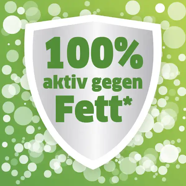 Power gegen Fett & Eingebranntes