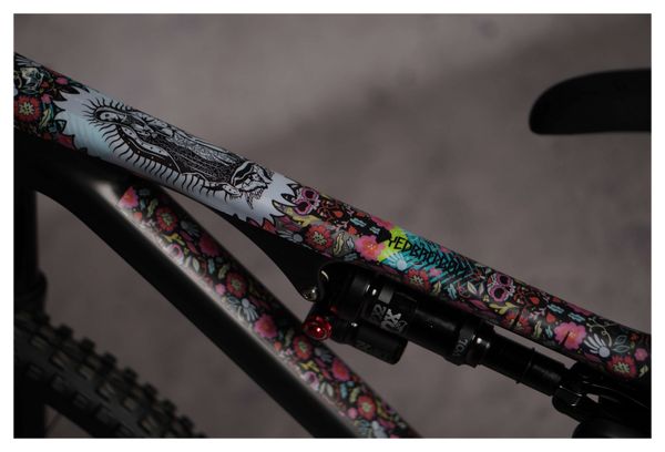 Kit de Protection Cadre Dyedbro Frame Guadalupe Multi-Couleurs