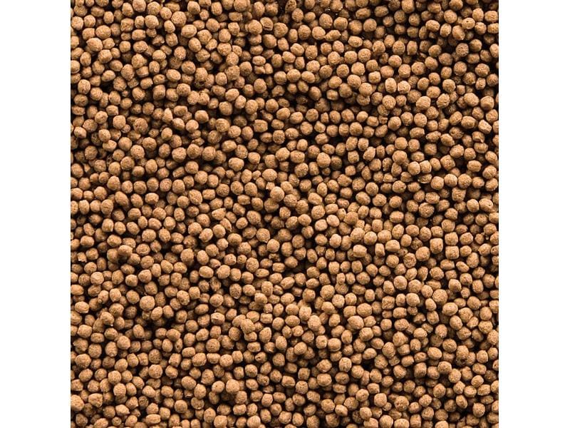 sera Koifutter Koi Royal Nature Mini, 1000 ml, 320g Natürliches Futter für kleine Teichfische