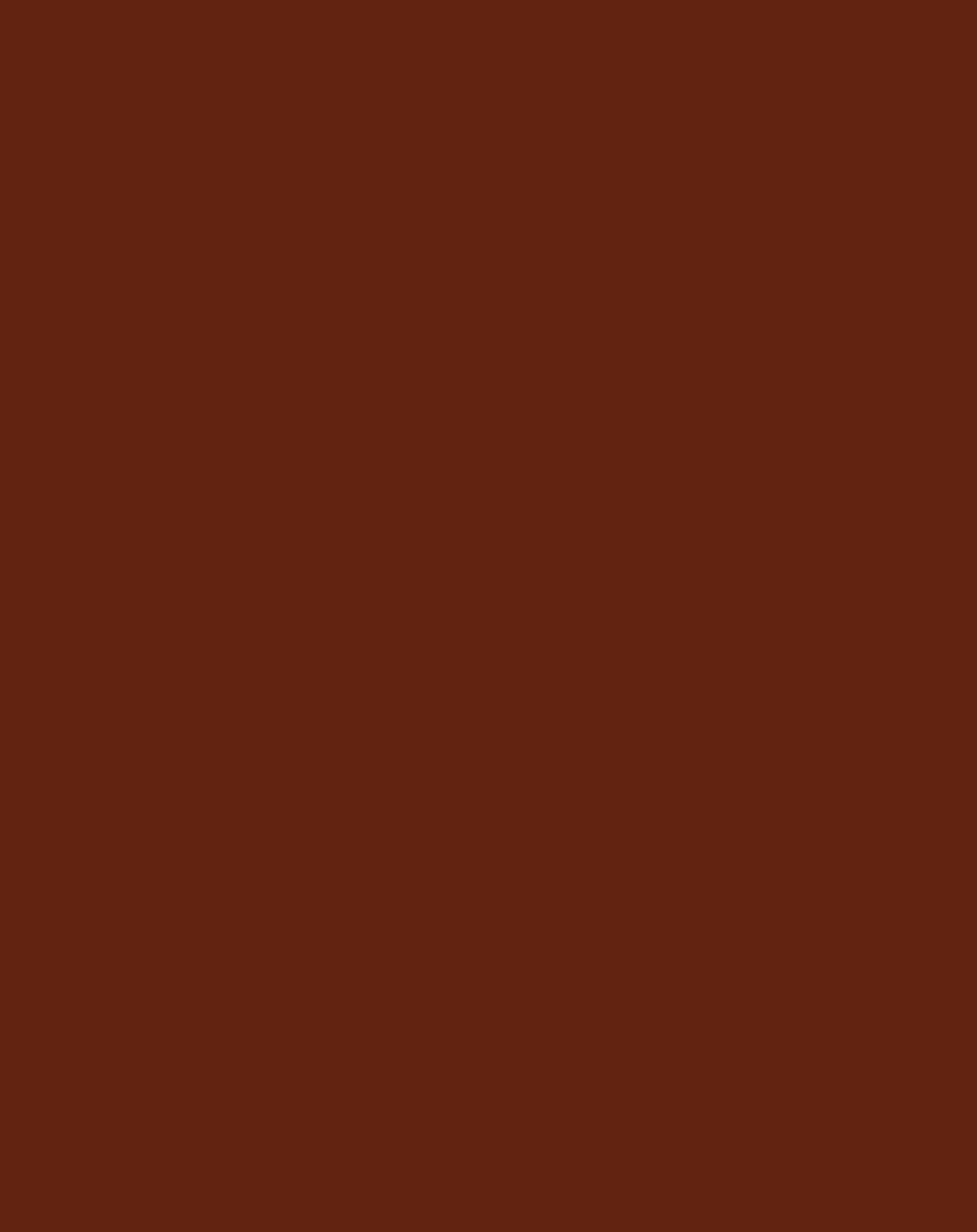 Klett-Sandalen BASIC in cognac