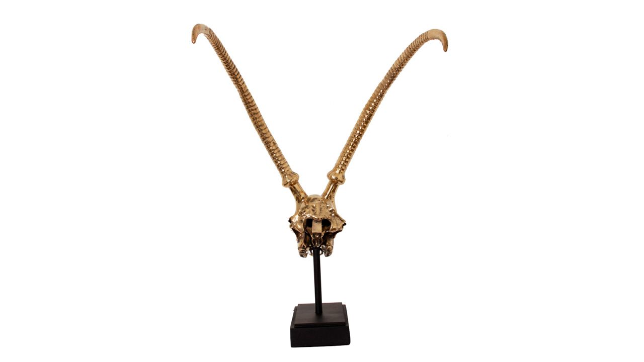 Deco H13 Gazelle SkullB53 x D60 x H71 cm