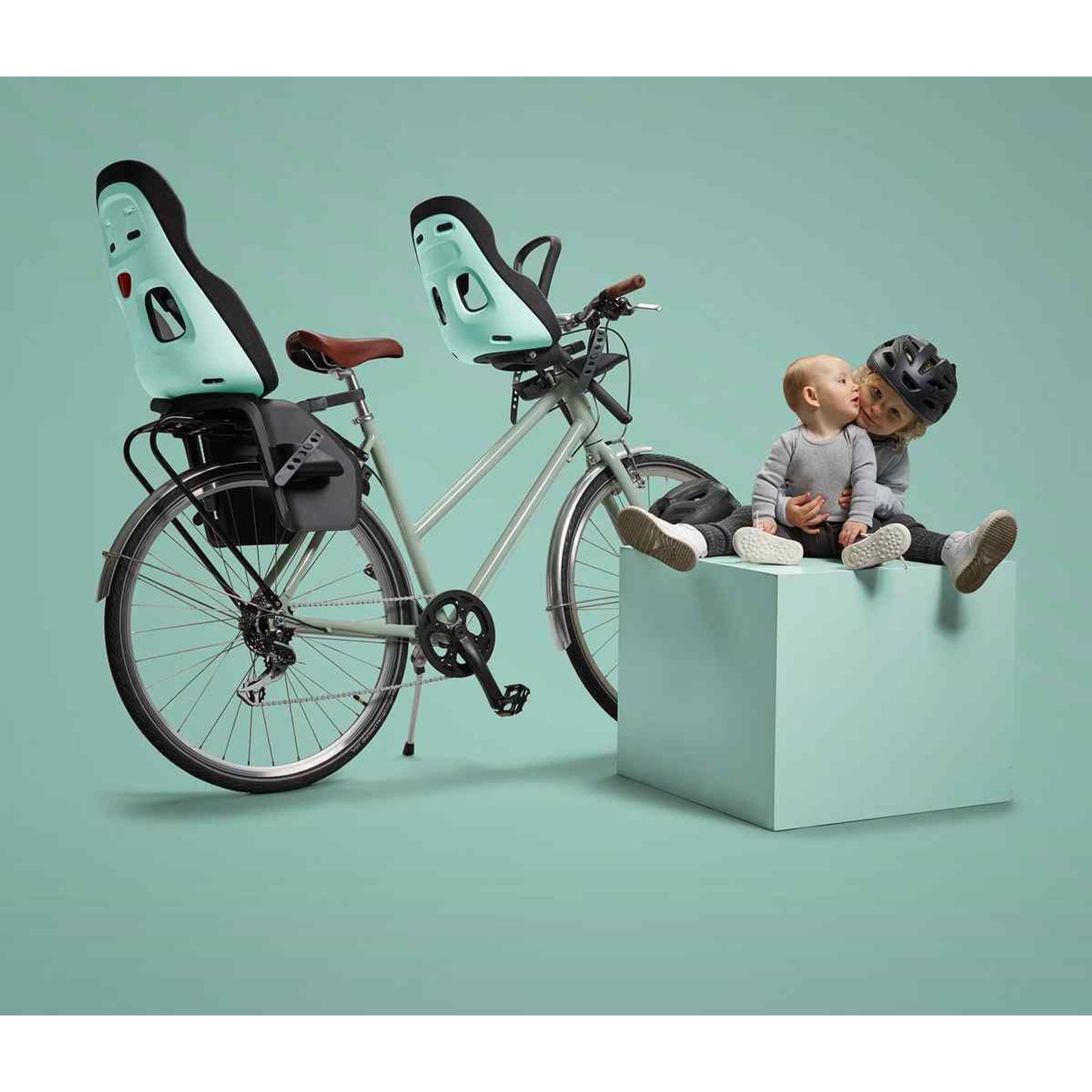 Thule Yepp Nexxt 2 Mini Fietsstoeltje Voor