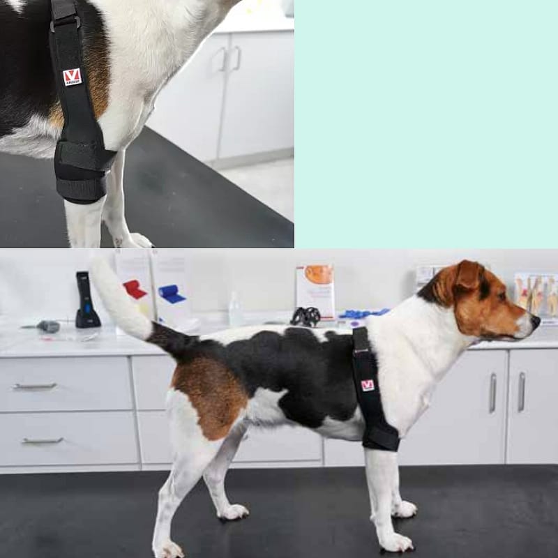Kruuse Elbow Protector Rehab Pro | Rechts M | 11617.7