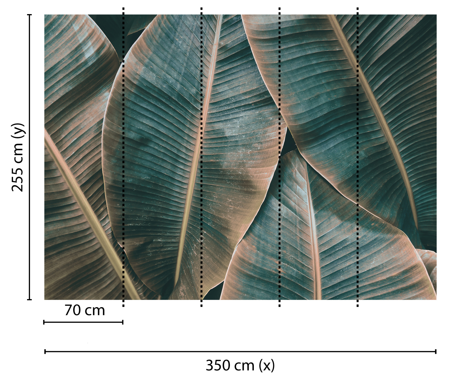 Fototapete DESIGNWALLS - grün-braun - Pflanzen - 2,55 Meter
