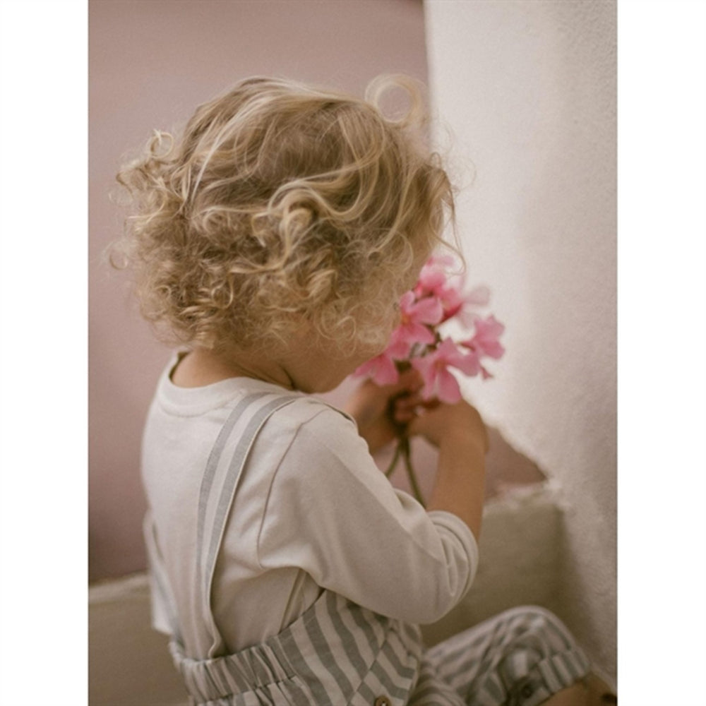 Køb Lil'Atelier Turtledove Dino Buksedragt