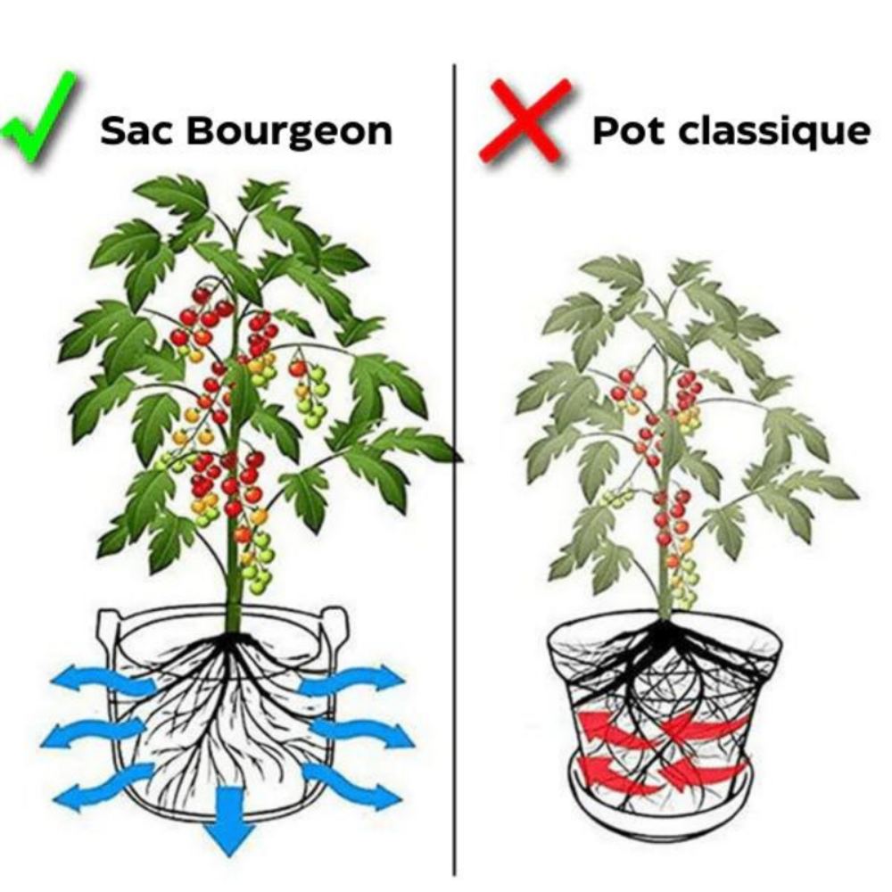 Jardinière de plantation respirant 12 cm