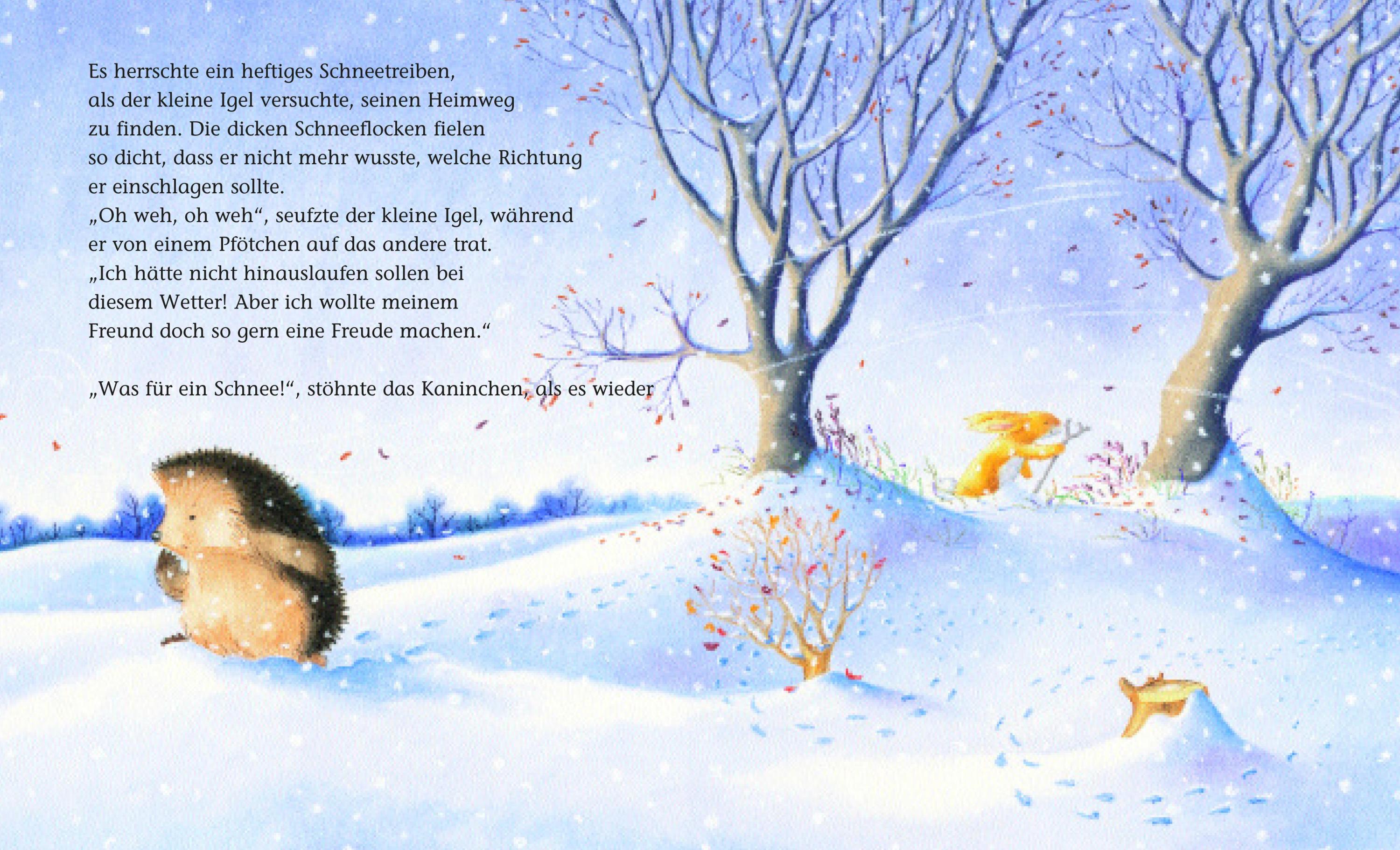 Fühl doch mal! / Der kleine Igel und die rote Mütze