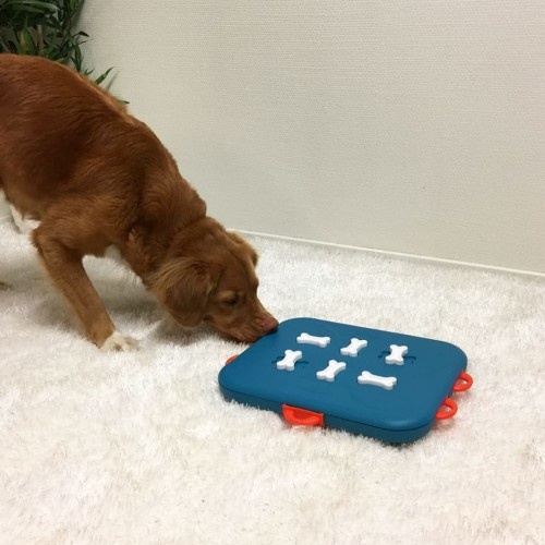 Brinquedo interativo para cães nas cores azul e vermelha.