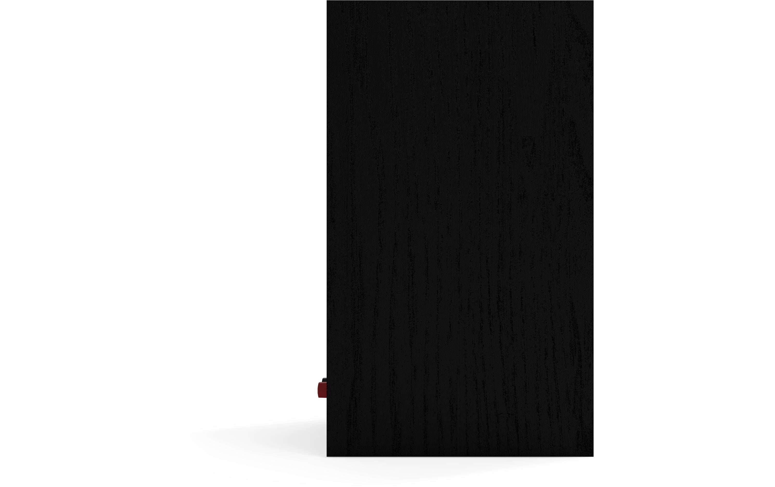 Regallautsprecher Paar R-50M – Schwarz<br>Regallautsprecher für Ihr Heimkinosystem