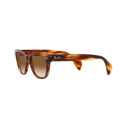 Ray Ban RB0880S Solbriller, Havana