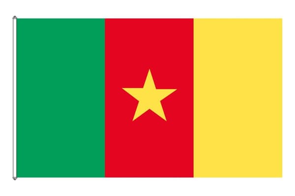 Kamerun flagg