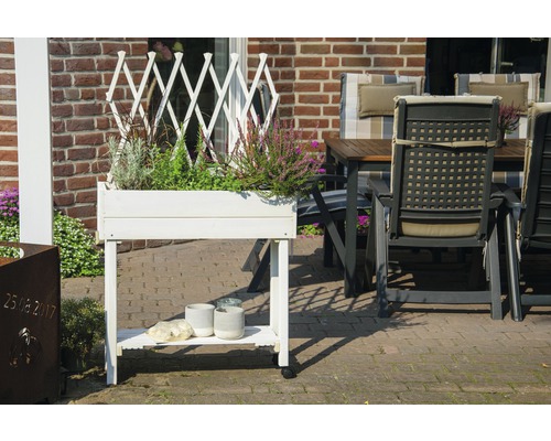 Verhoogd tuinbed op palen met trellis, mobiel, 79 x 28,5 x 130 cm, wit geglazuurd