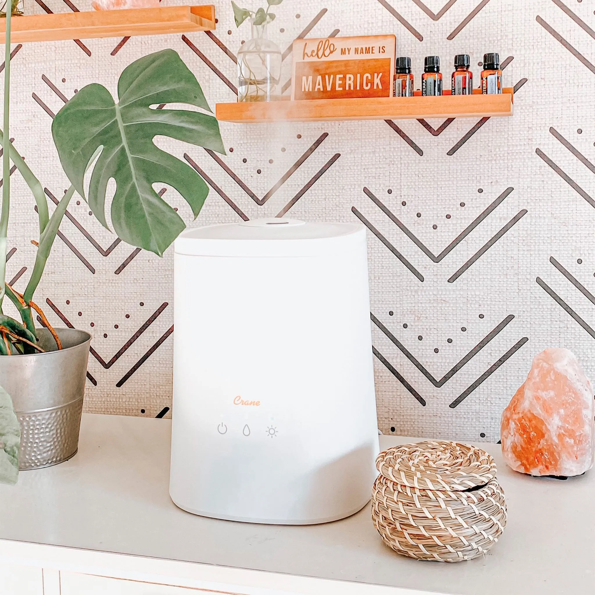 Crane Humidificateur Ultrasonique à Vapeur Froide avec diffuseur d’arômes (1,2 gal.)
