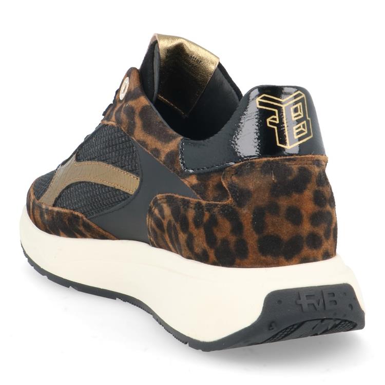 Floris van Bommel SFW-10138 brown