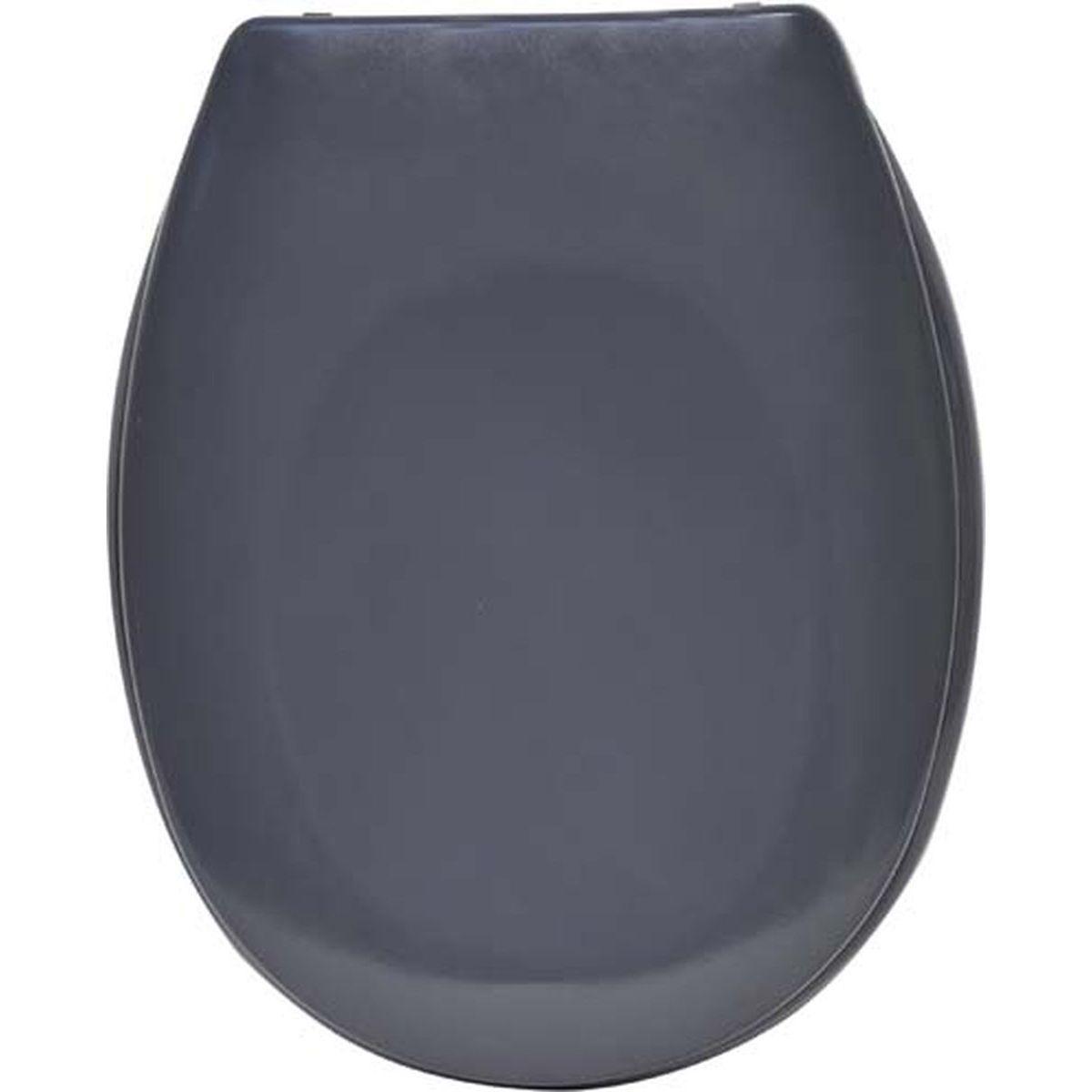 ABATTANT WC THERMODURE  FREIN DE CHUTE  GRIS