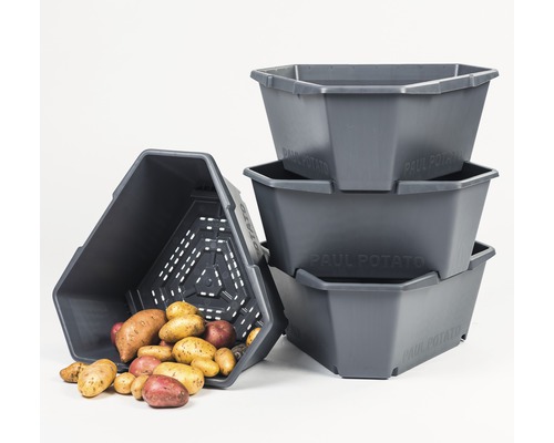 Aardappeltoren Gusta Tuin Plantenpot Starterset Paul Aardappel met 4 Lagen