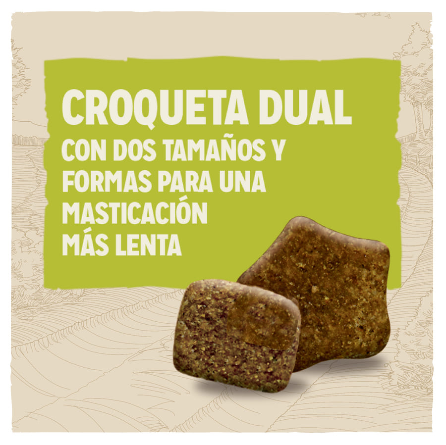 Ração para cães adultos Dog Chow sabor frango