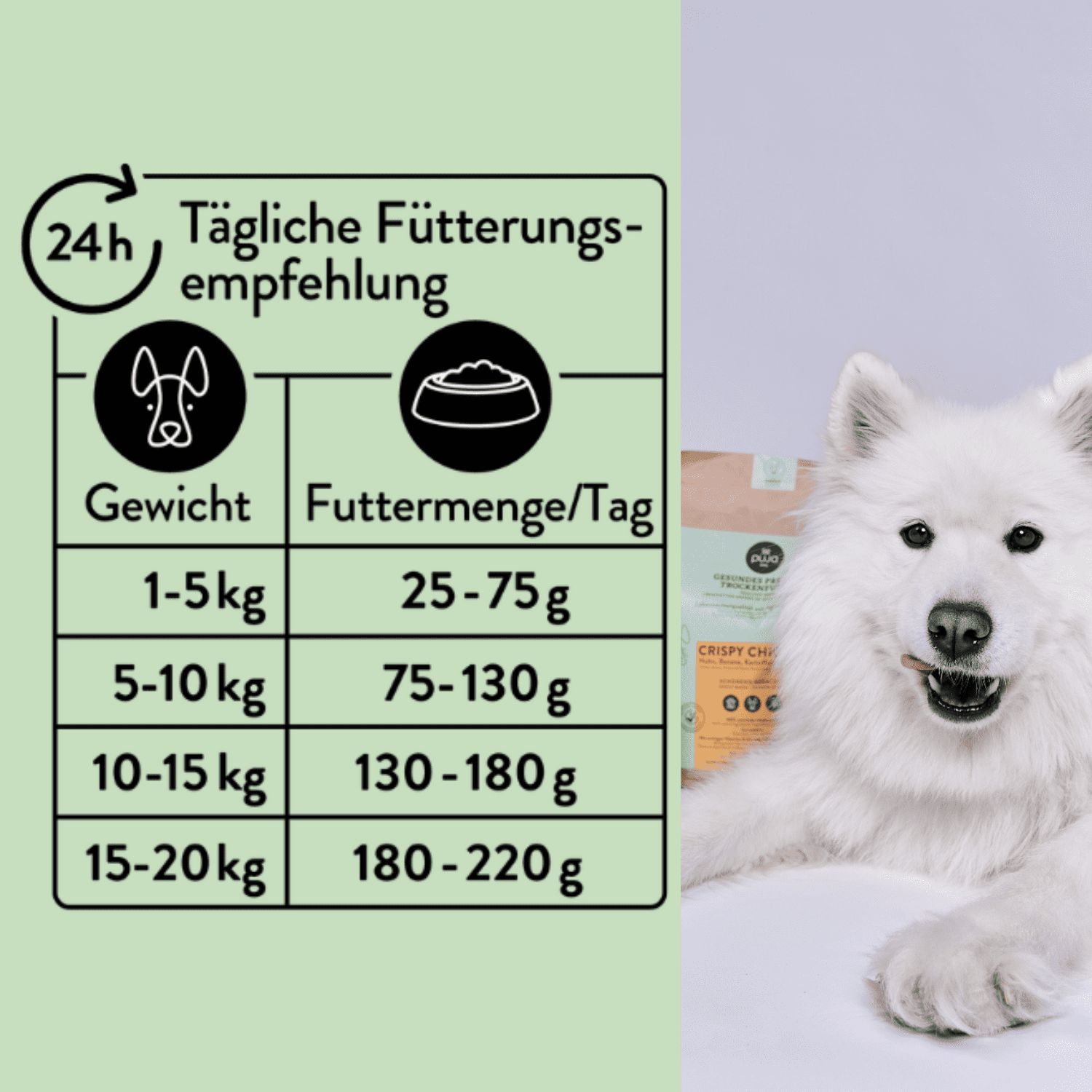 PUJA Hundeliebe Futterumstellung