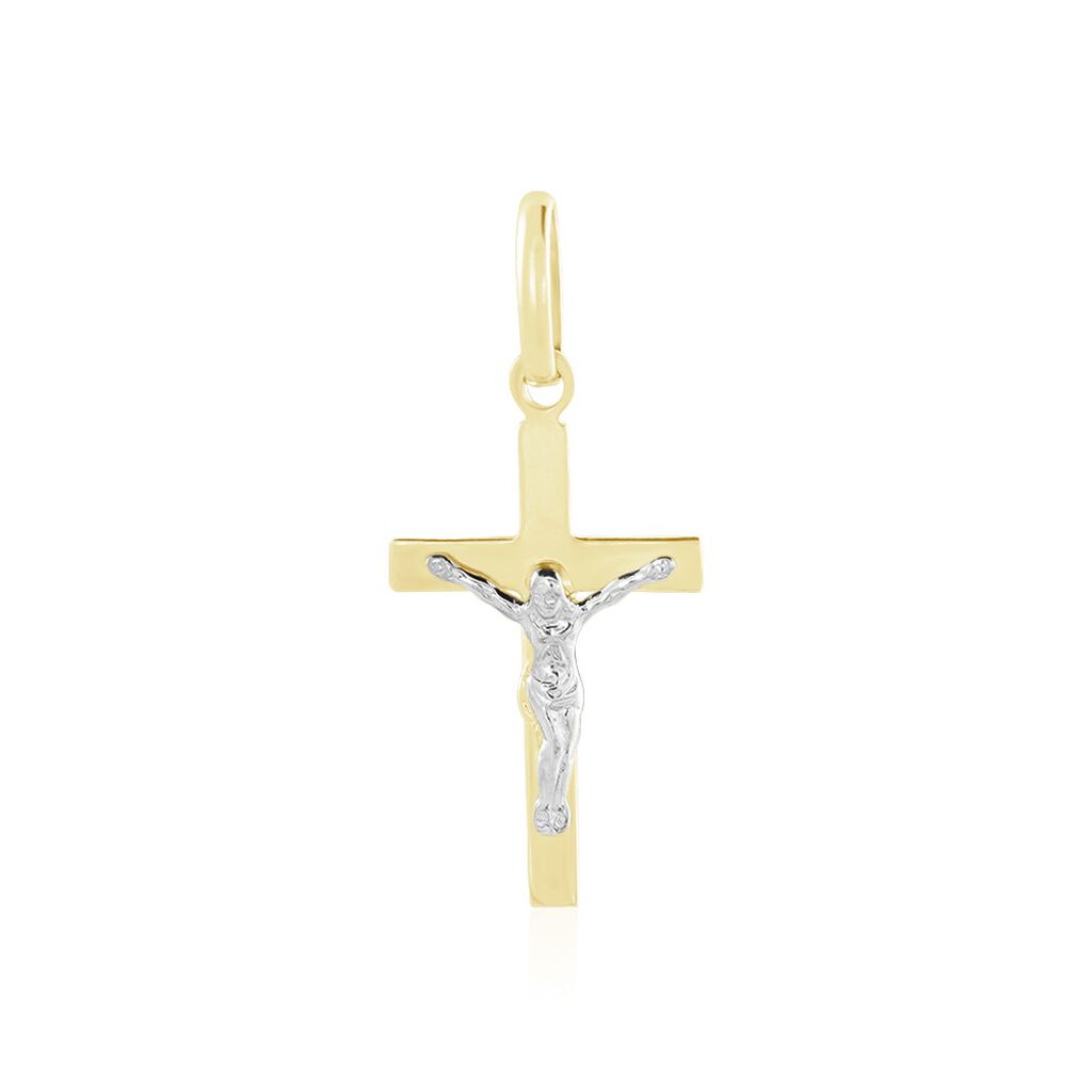 Pendentif Andries Or Bicolore