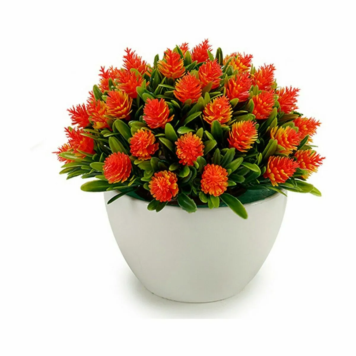 Ibergarden Plante Fleurs 12 Unités