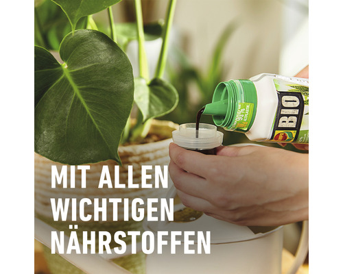 Compo biologische groene planten- en palmenmeststof, 500 ml minerale vloeibare meststof.