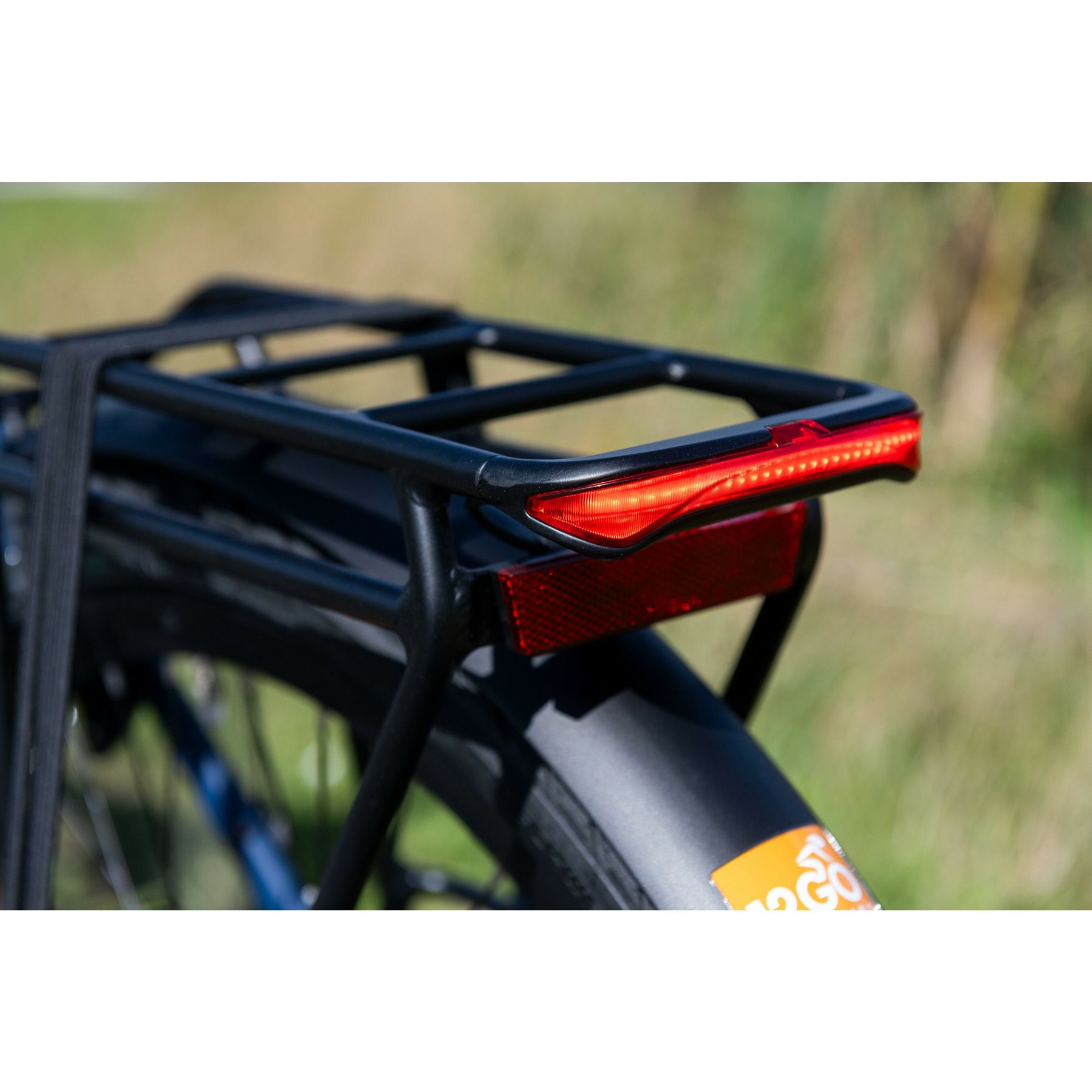 Pegasus Ravenna EVO NV Belt