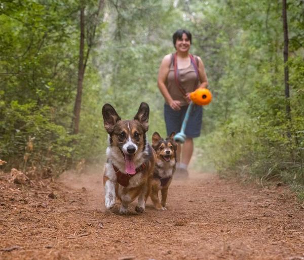 RUFFWEAR® Gummi-Wurfspielzeug Gourdo™