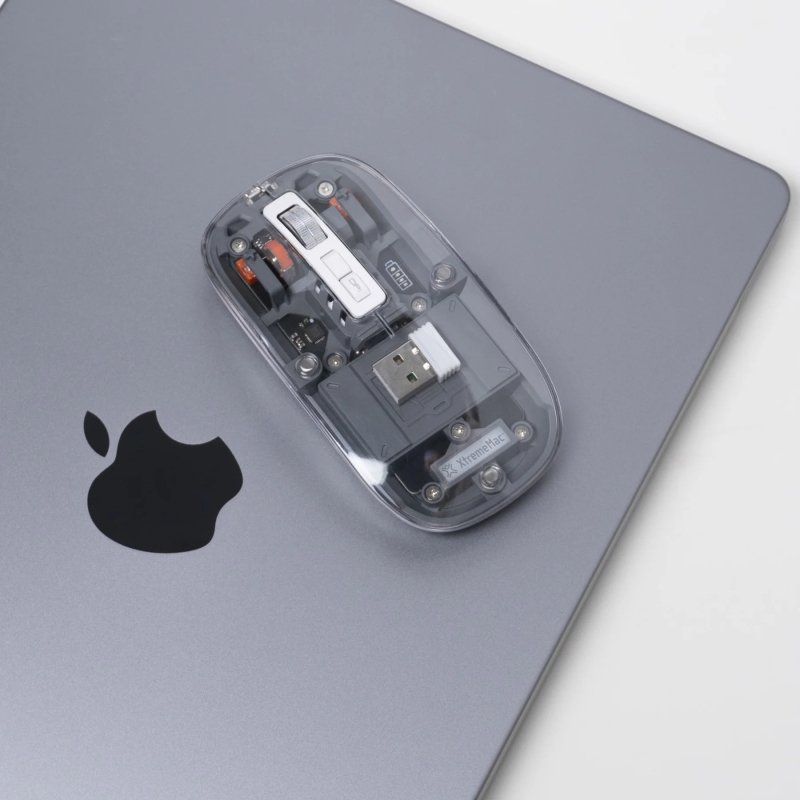 XtremeMac XWH-ALM2-13 souris Universel Bluetooth Laser 2400 DPI