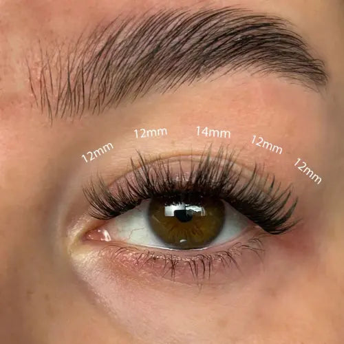 Fluffy Russian DIY Cluster Lashes