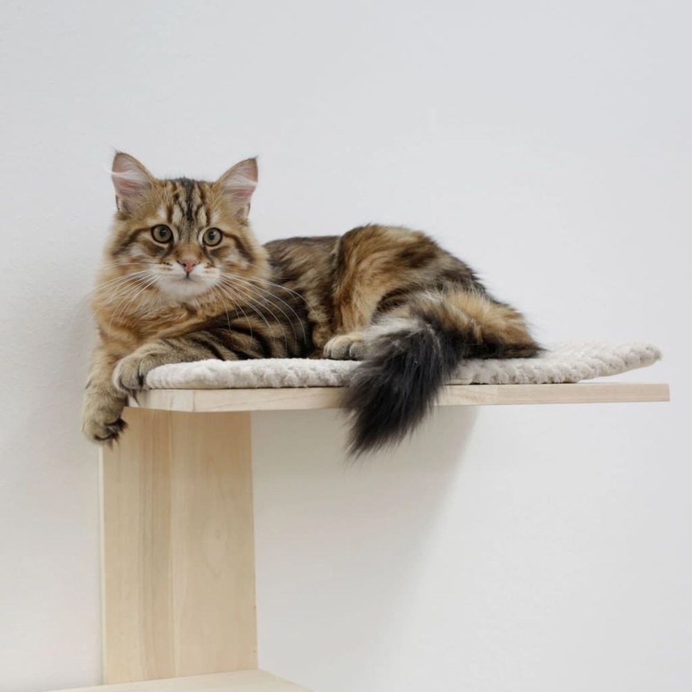 Arbre à chat timber wall 150 cm naturel et taupe