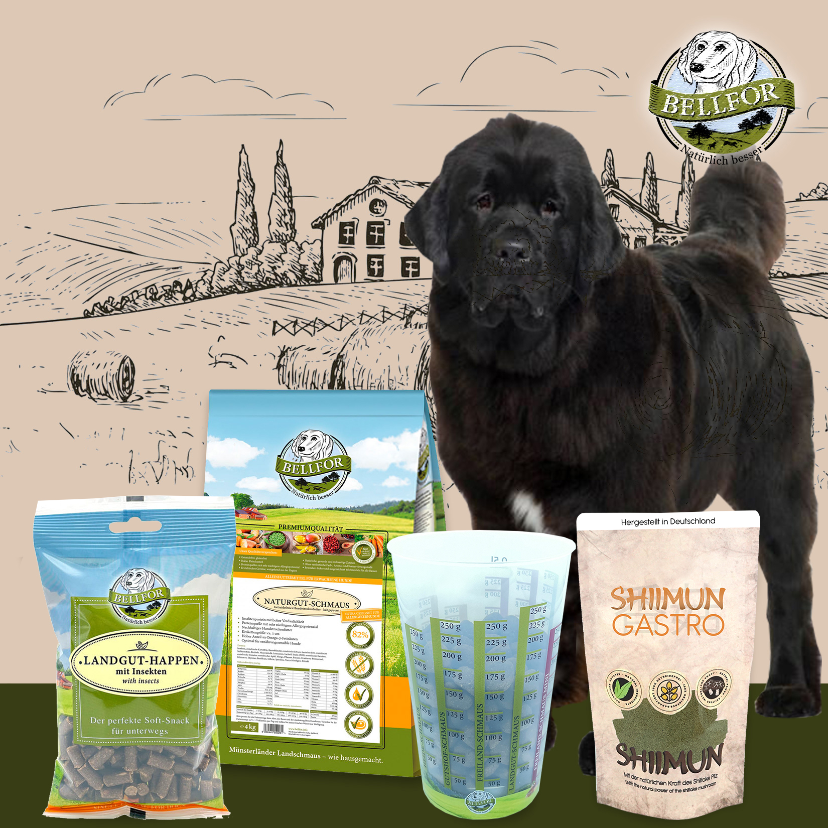 Set d'alimentation pour les grands chiens ayant des problèmes digestifs