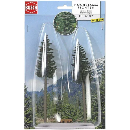 Busch 2 Hochstammfichten