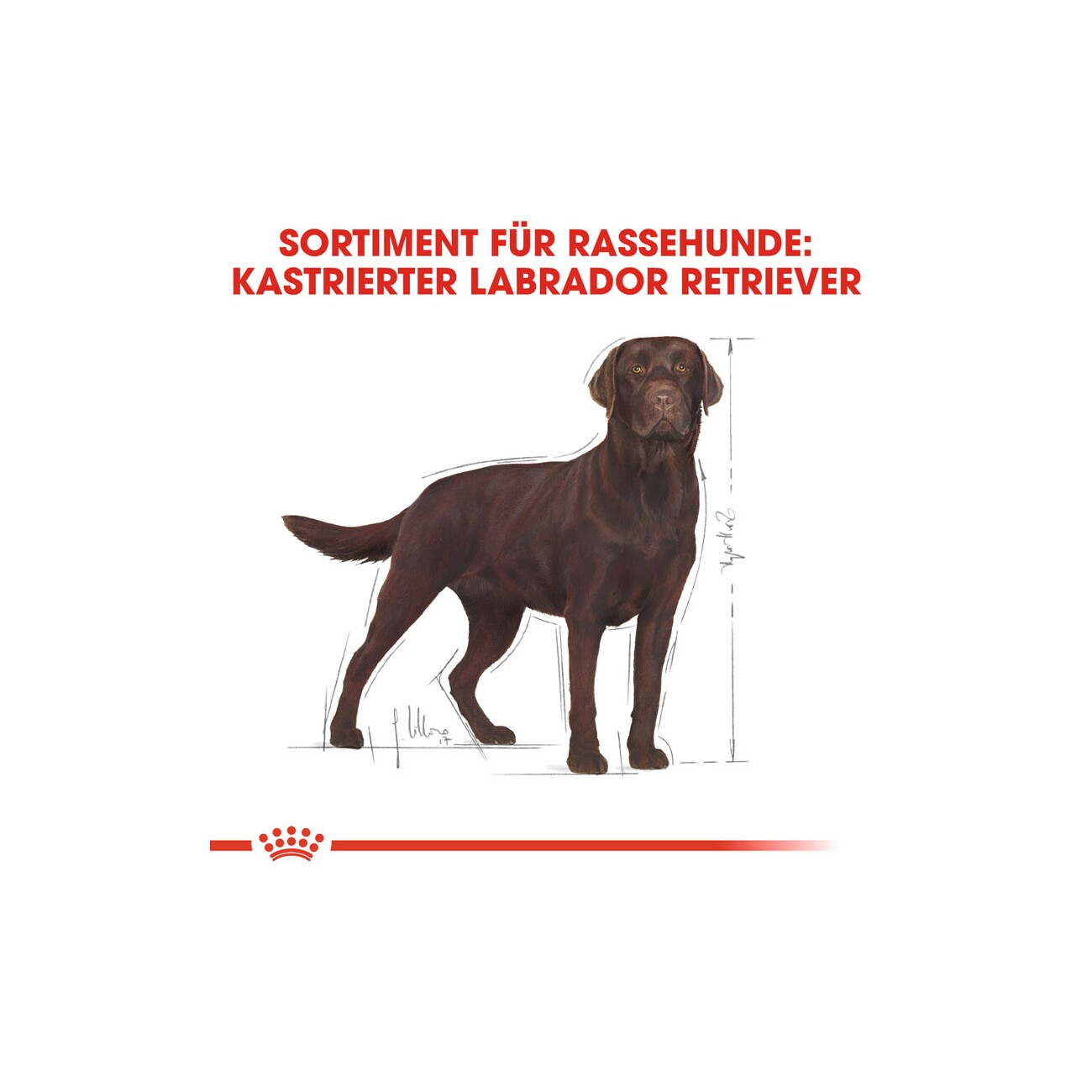ROYAL CANIN Labrador Adult Sterilisiert 12 kg