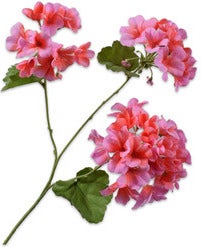 Silk-Ka kunstbloem Geranium roze 58 cm