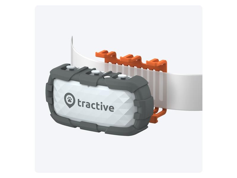 tractive GPS-Tracker DOG XL Adventure Edition, Grau GPS Tracker für grosse Hunde