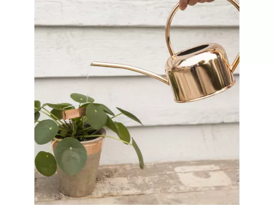 Etiquettes à plantes en cuivre (Lot de 6)