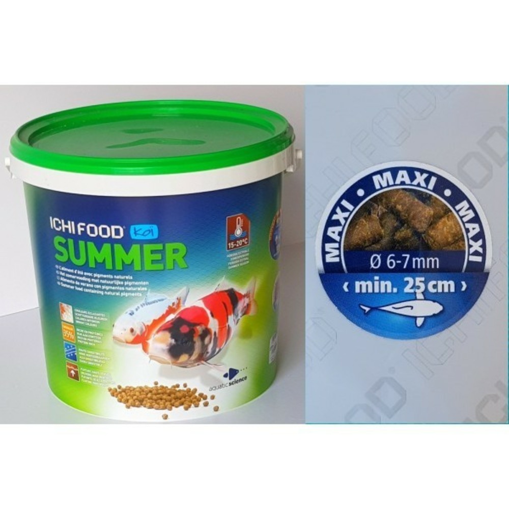 Ichi food summer 4kg maxi