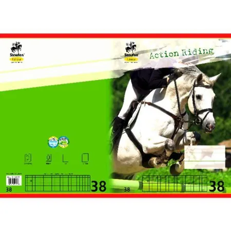 Staufen Schulheft Linea, A4, kar.m.Randlinien, Lin.38,16Bl, farbig mit Sportlermotiv