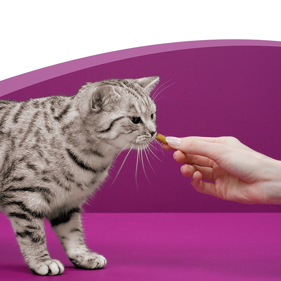 Whiskas Petiscos Anti-Bolas de Pelo para Gatos