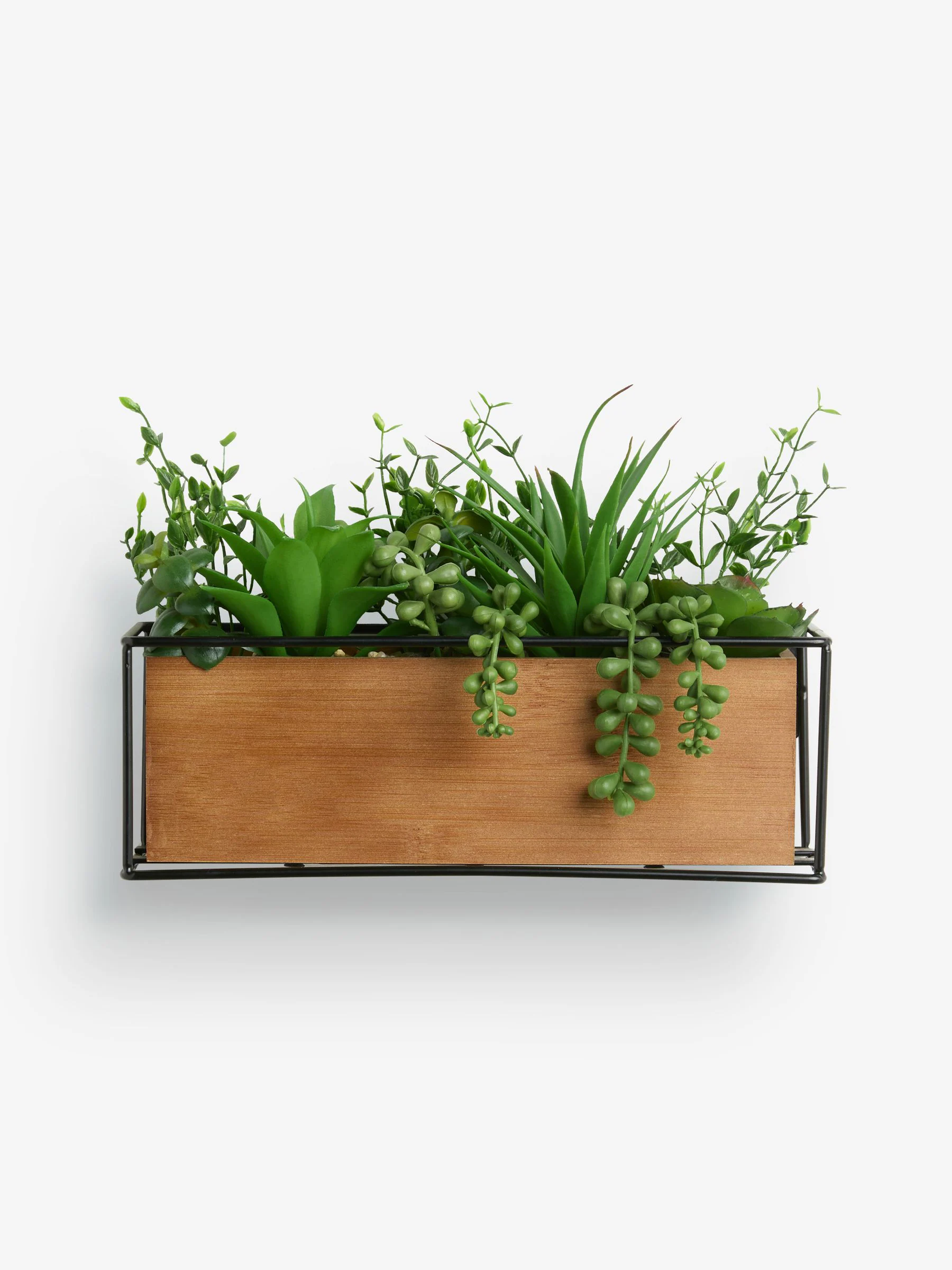 Artificial Succulent Garden in Bronx Wood Trough