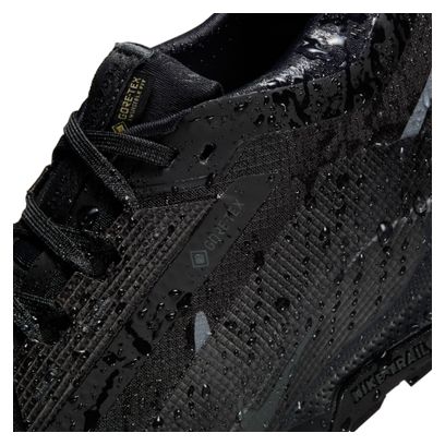 Chaussures Trail Nike Pegasus Trail 5 GTX Noir Femme