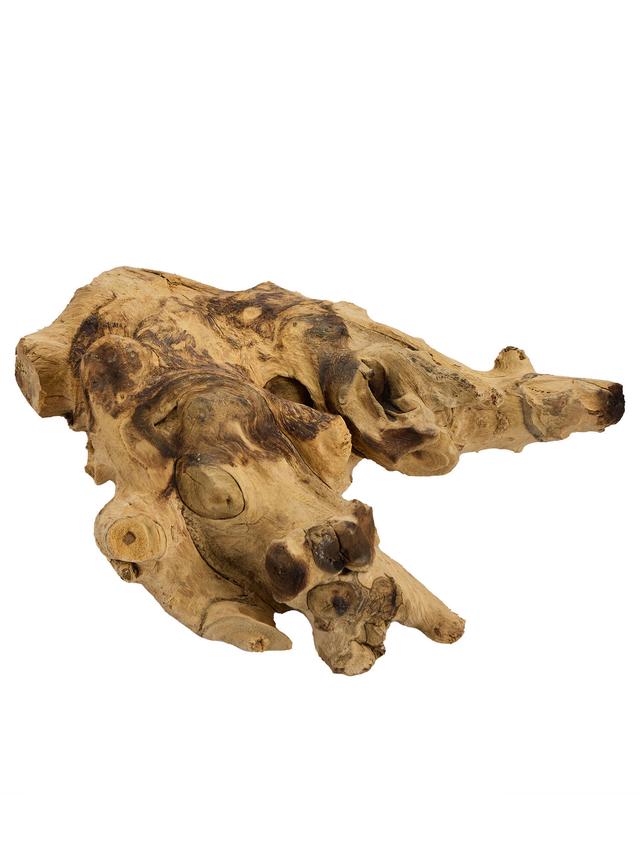 Teakholz mit Glasvase, hoch ca. 25 cm