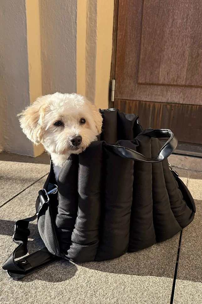PADDY transportveske for dyr