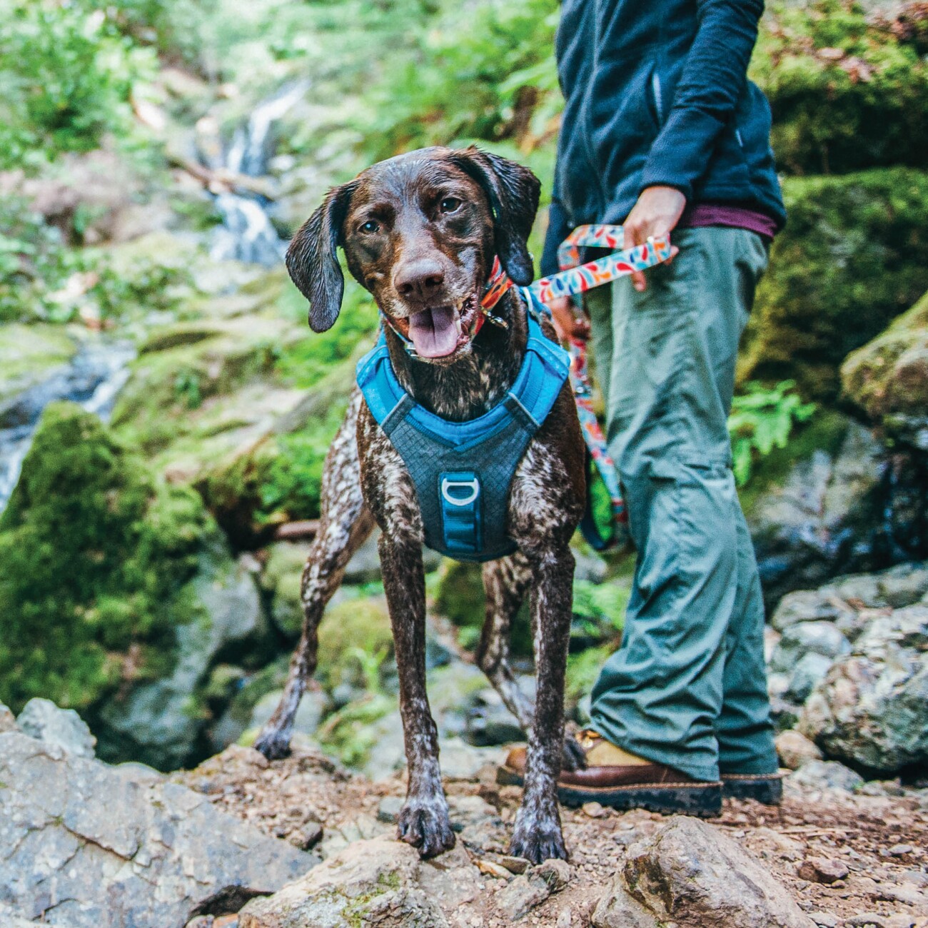 Kurgo Journey Air Hundegeschirr blau/ grau S