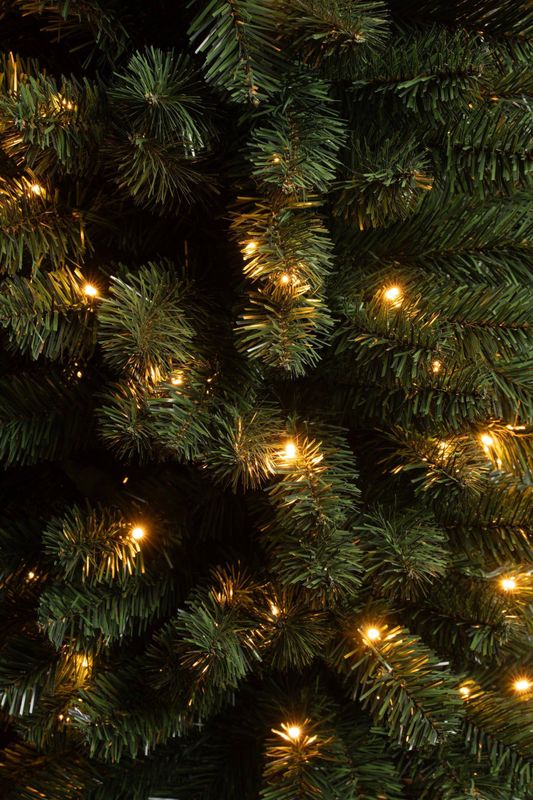 Black Box Trees - Charlton - Kunstkerstboom - Groen - 1,55m x 48cm - Met Verlichting