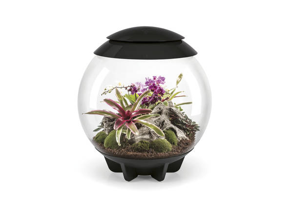 biOrb Air 60 Zwart