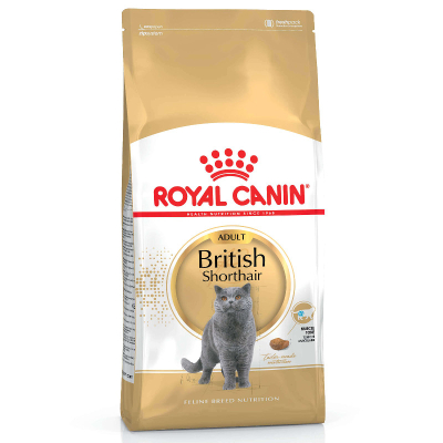 Royal Canin British Shorthair 34