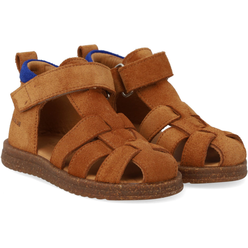 Køb Angulus Begynder Sandal Med Velcrolukning