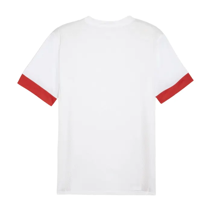 Puma TeamGOAL Matchday Shirt Heren
